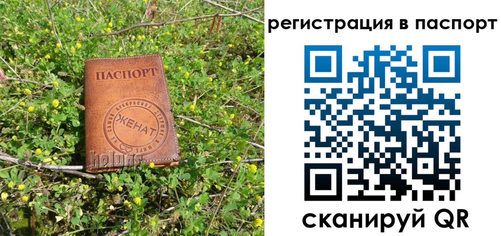 прописка законно в Кирсанове